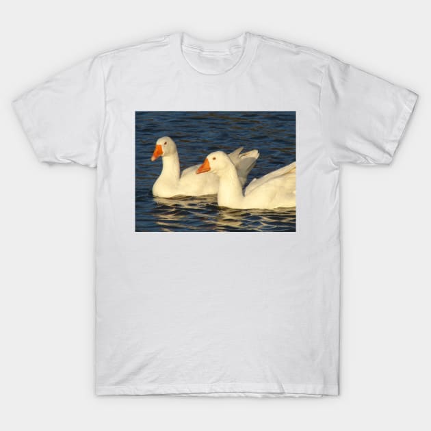 Geese T-Shirt by Chris Petty